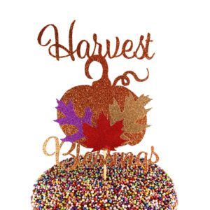 Harvest Blessings Autumn Thanksgiving Cake Topper Centerpiece
